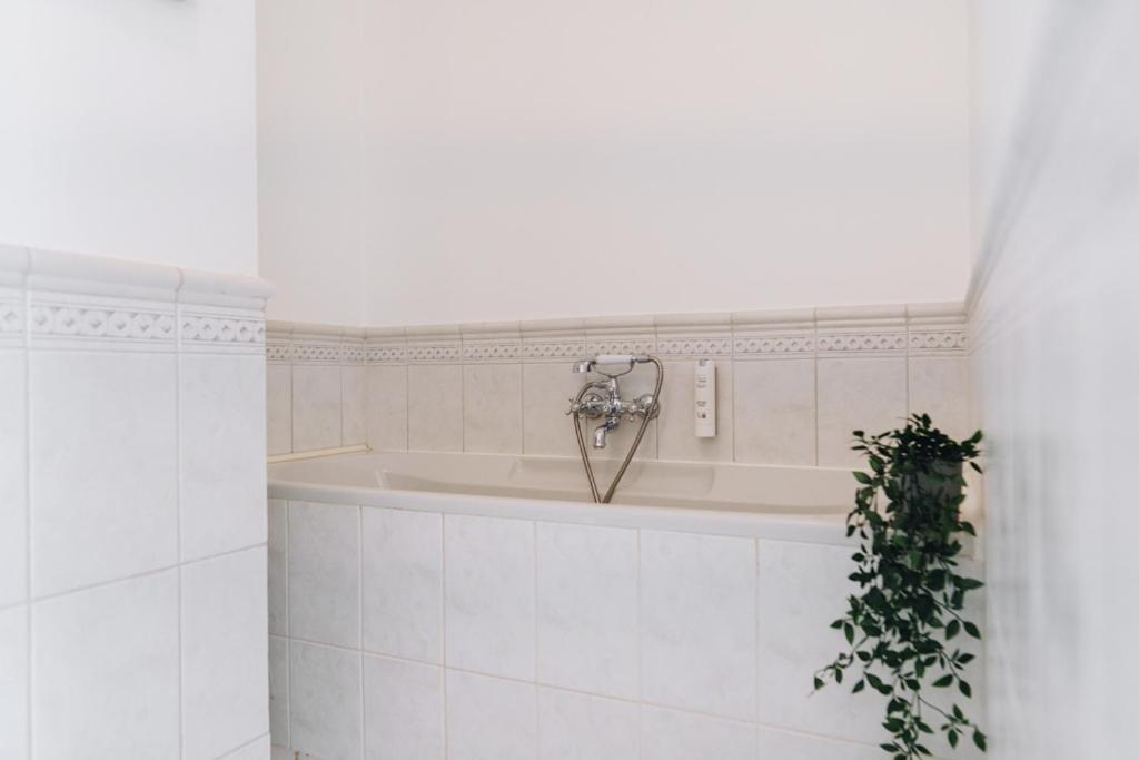 Dream Stay - Art Gallery Family Apartment With 2 Bathrooms ทาลลินน์ ภายนอก รูปภาพ